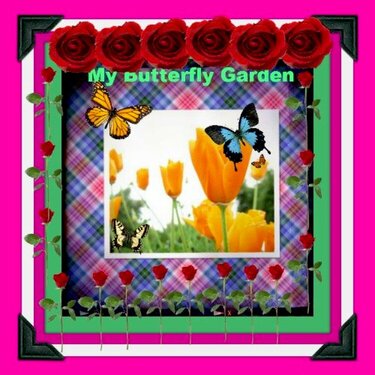 My Butterfly Garden