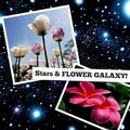 Star &Flower Galaxy