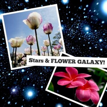 Star &amp;Flower Galaxy