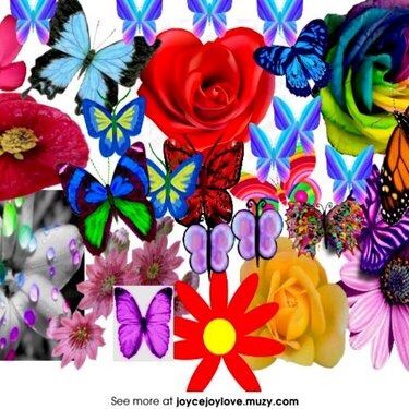 Butterflies &amp; Roses