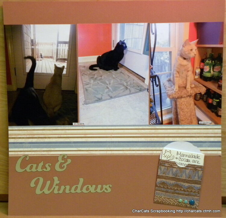 Cats &amp; Windows