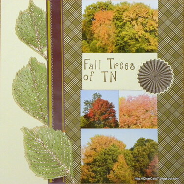 Fall Trees of TN (Oct Ugly pp challenge)