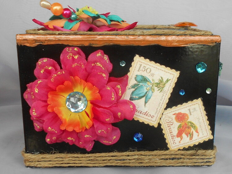 Tropical Travelogue Box