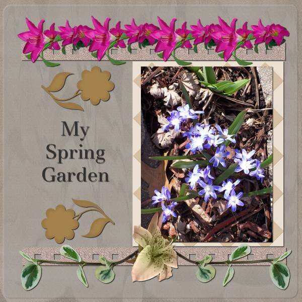 My Spring Garden