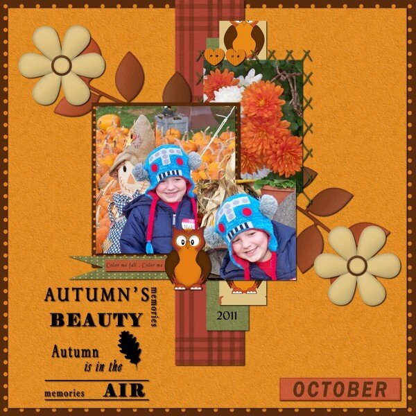 Autumn&#039;s Beauty