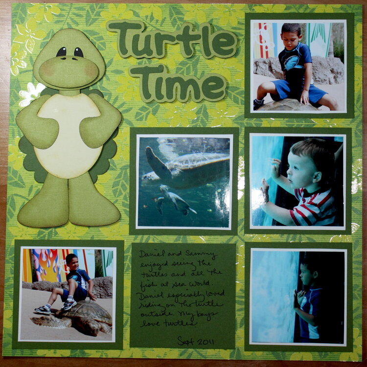 Turtle Time