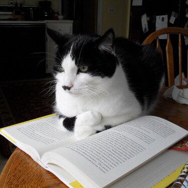 oreo.... &quot;helping&quot; me read