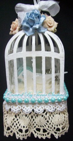 3D Bird cage