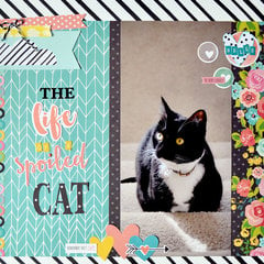 The Life of a Spoiled Cat **Simple Stories**