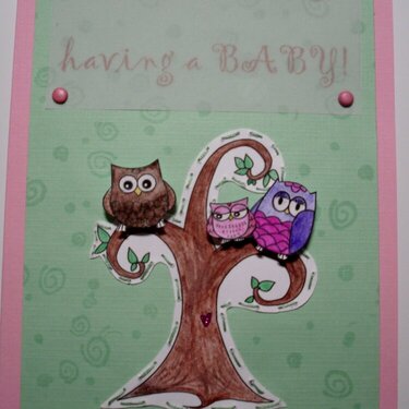 Owl Family Baby Shower Card