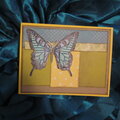 Butterfly Card