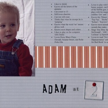 Adam at 2