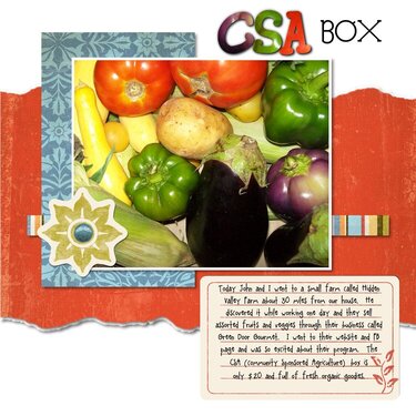 CSA Box