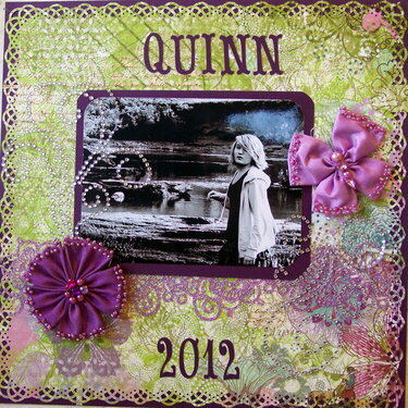 Quinn 2012