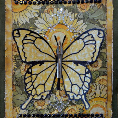 Butterfly Card