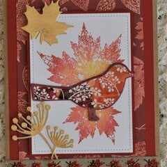 6 Larger Thanksgiving-Fall Cards