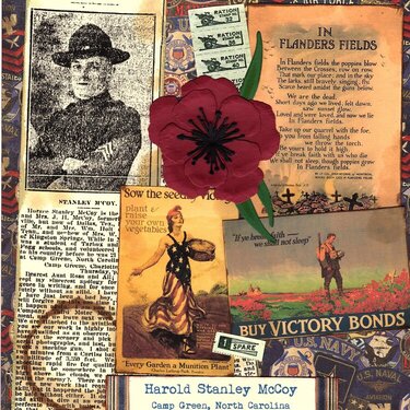 Flanders Poppies - Veteran&#039;s Memorial Day Tribute