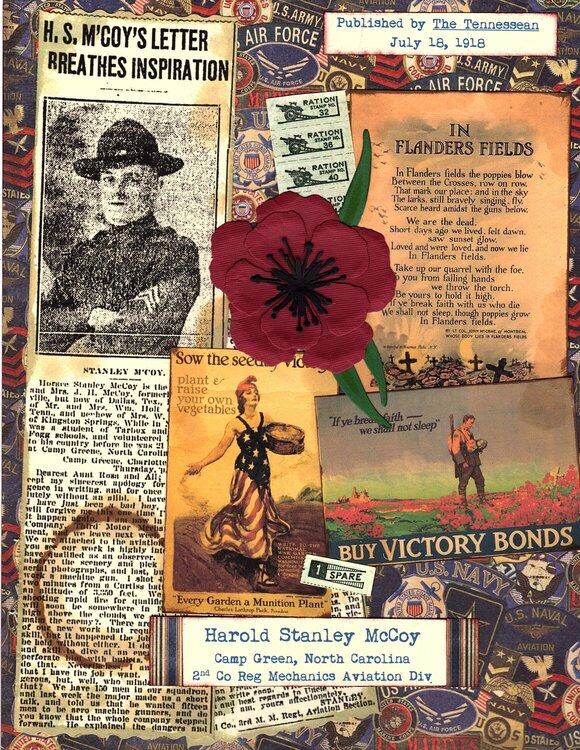 Flanders Poppies - Veteran&#039;s Memorial Day Tribute