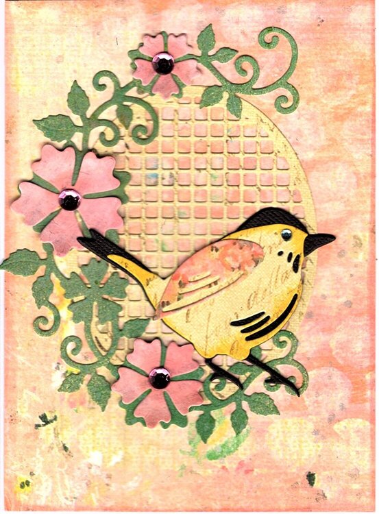 Feathered Friends Cards