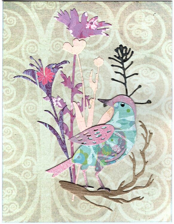 Feathered Friends Cards