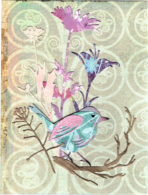 Feathered Friends Cards