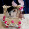 Parisian Viintage Photo Frame