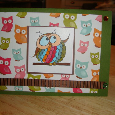 Hello Owl card