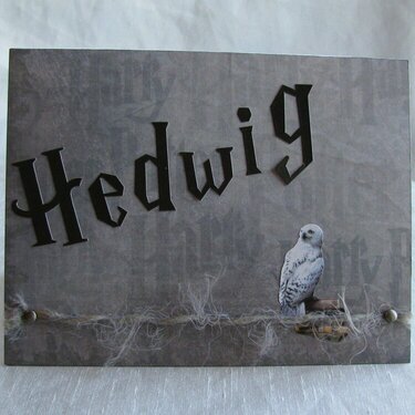 Hedwig card