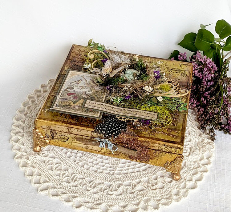 Altered Cigar Box Swap Project &quot;Nature Box&quot;