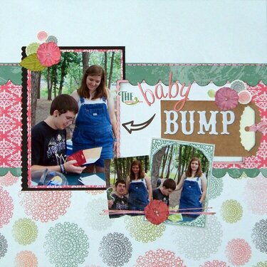 the Baby Bump BIRDS OF A FEATHER KIT CO.