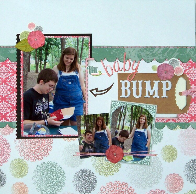 the Baby Bump BIRDS OF A FEATHER KIT CO.