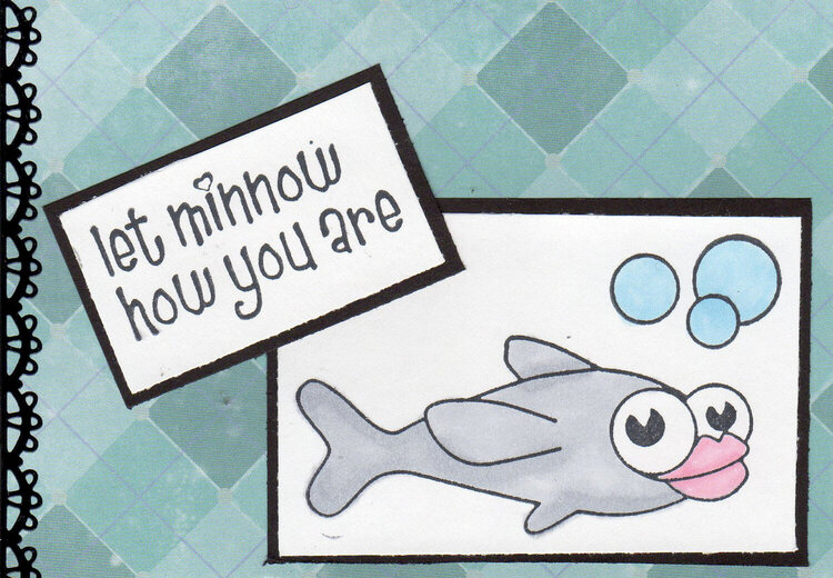 Let Minnow how you are