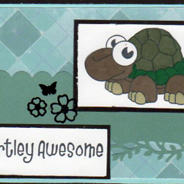 Turtley Awesome!