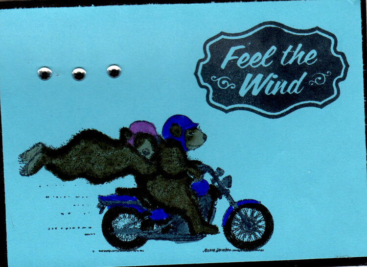 Feel The Wind