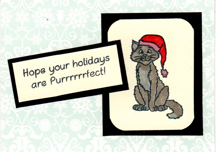 Purrrrrrfect