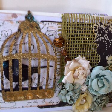 Bird in cage