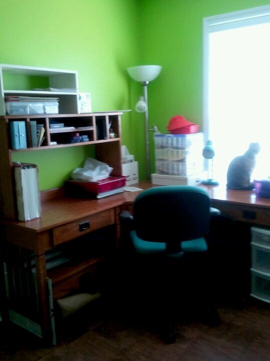 Undecorated Room pic #5