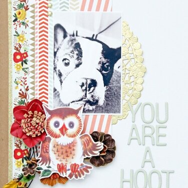 ~you are a hoot~