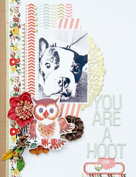 ~you are a hoot~