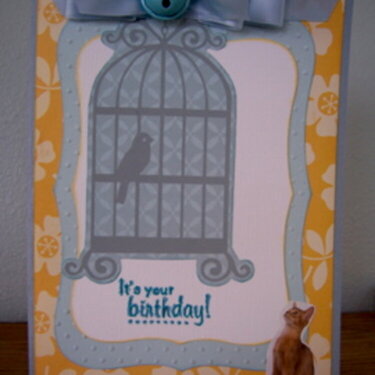 Cat Lover&#039;s Birthday Card