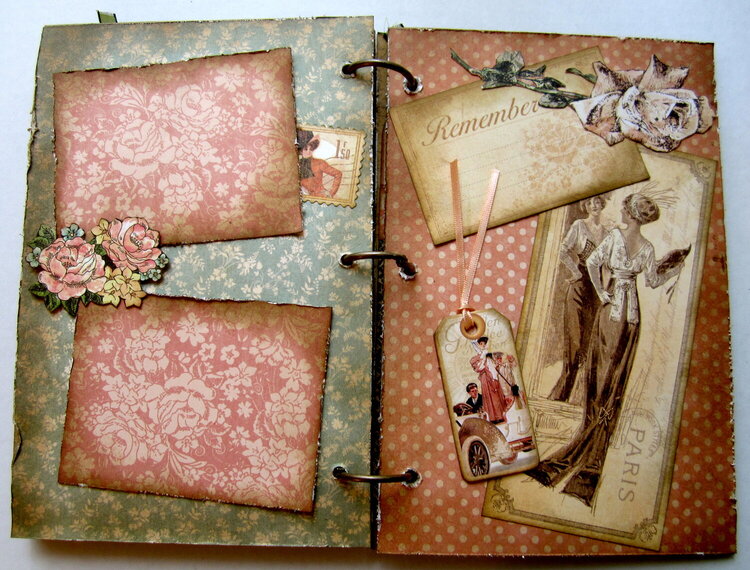 A Ladies&#039; Diary Mini Album