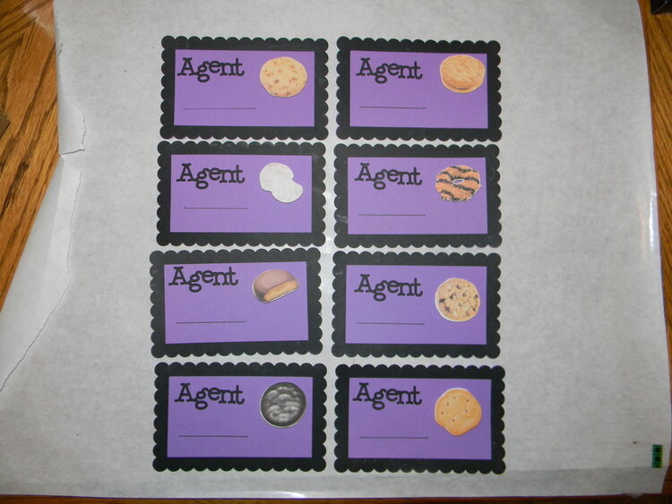 Special Agent Badges