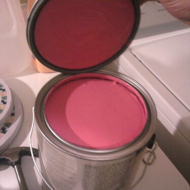 Hot Pink Paint!
