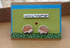 Sending Hedgehugs