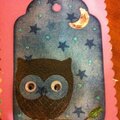 Night Night Owl Tag
