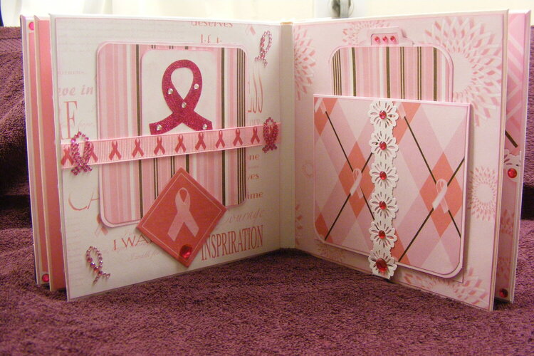 Pink Ribbon Album