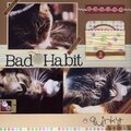 Bad Habit, Quirky Habit