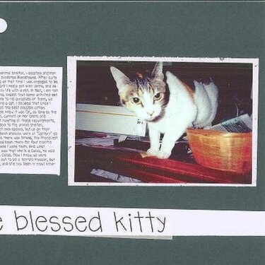One Blessed Kitty