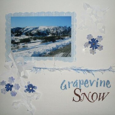 Grapevine Snow