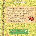 Ladybug, Ladybug